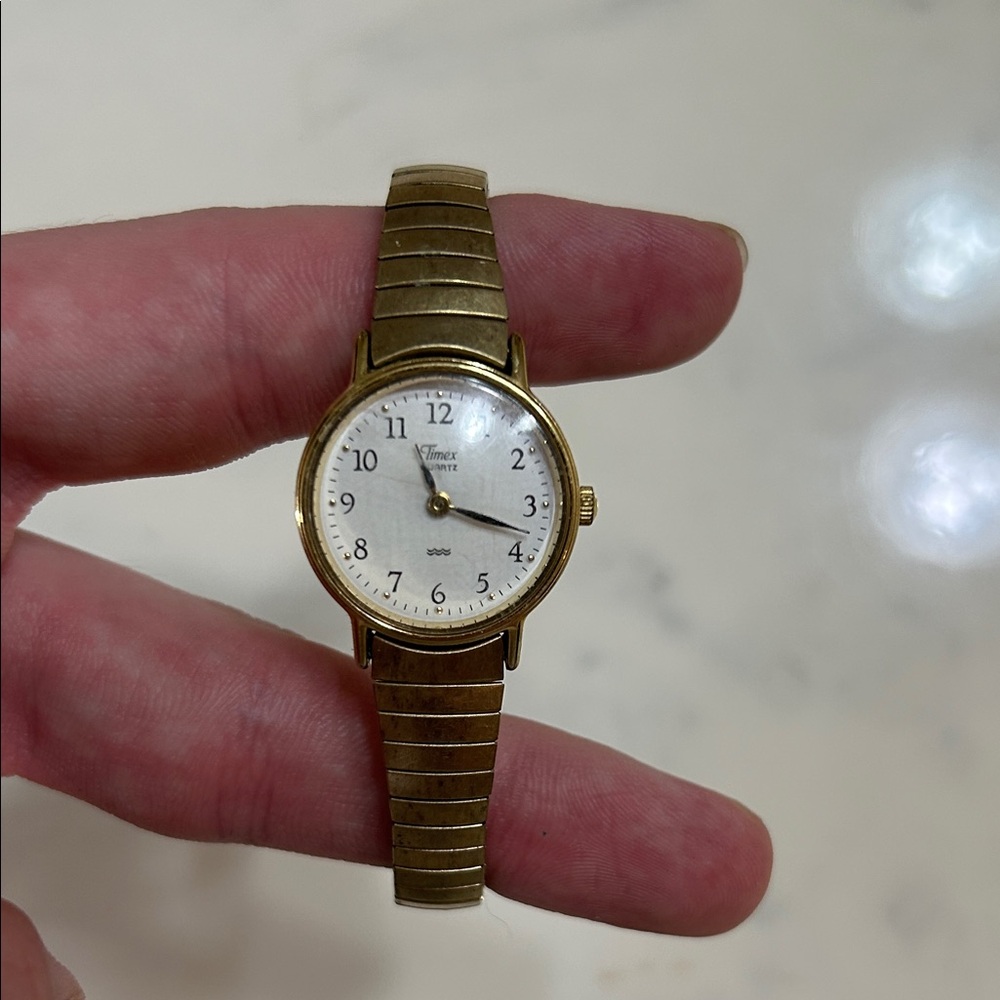 Timex Gold-Tone Classic Watch